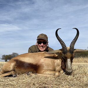 Springbok Hunt South Africa