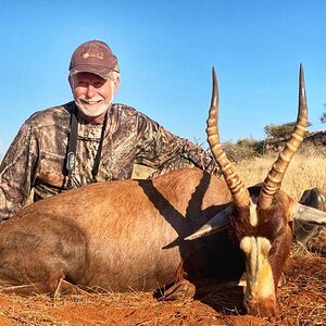 Blesbok Hunt Northen Cape South Africa