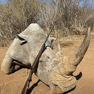 White Rhino Hunt South Africa