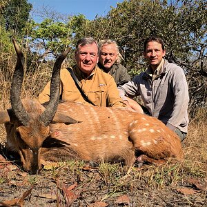 Chobe Bushbuck Hunt Zambia