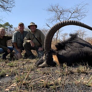 Sable Hunting Zambia