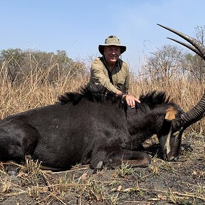 Sable Hunting Zambia