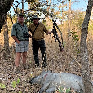 Warthog Hunting Zambia