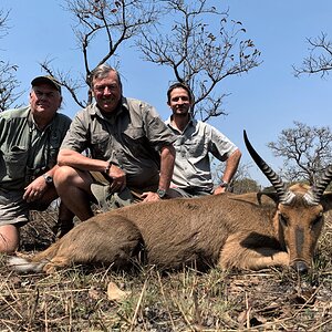 Reedbuck Hunting Zambia