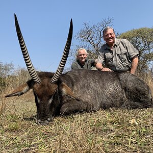 Crawshay Defassa Waterbuck Hunting Zambia