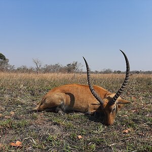 Kafue Lechwe Hunt Zambia