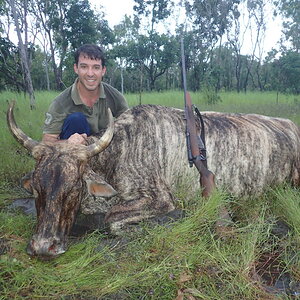 Wild Bull Hunting