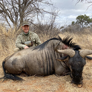 Blue Wildebeest Hunt South Africa