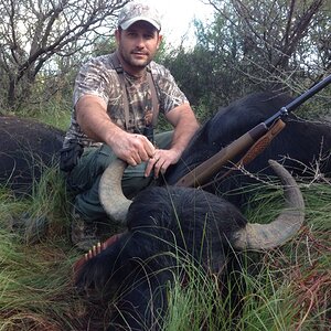 Water Buffalo Hunt Argentia