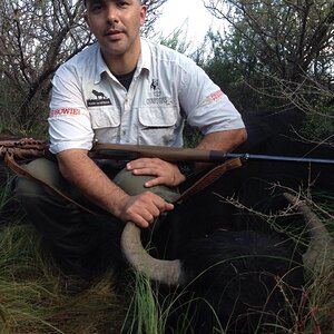 Water Buffalo Hunt Argentia