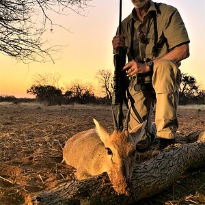 Duiker Hunting South Africa