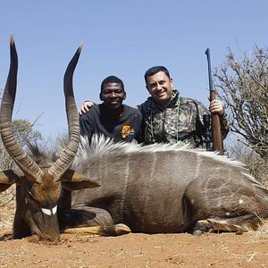 Nyala Hunt South Africa