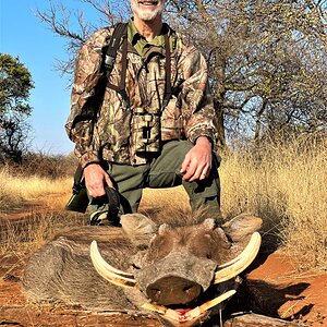 Warthog Hunt South Africa