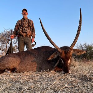 Waterbuck Hunting Limpopo South Africa