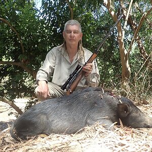 Pig Hunting Australia