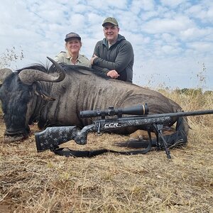 Blue Wildebeest Hunt South Africa