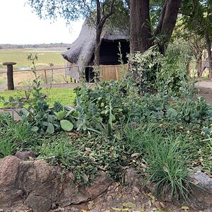 Camp Accommodation Zimbabwe