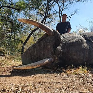 Elephant Hunting Zimbabwe