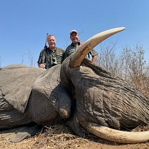 Elephant Hunting Zimbabwe