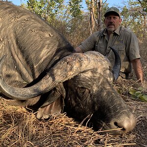 Buffalo Hunt Zimbabwe