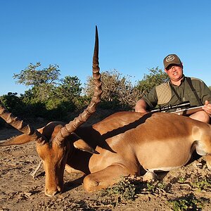 Impala Hunting South Africa