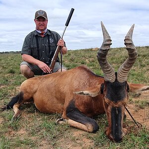 Red Hartebeest Hunting South Africa