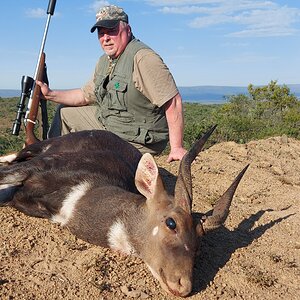 Bushbuck Hunting South Africa