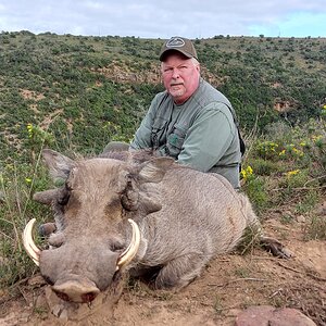 Warthog Hunting South Africa