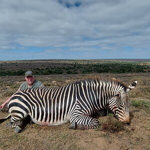 Hartmann’s Mountain Zebra Hunting South Africa