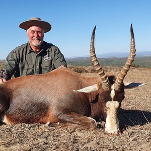 Blesbok Hunting South Africa