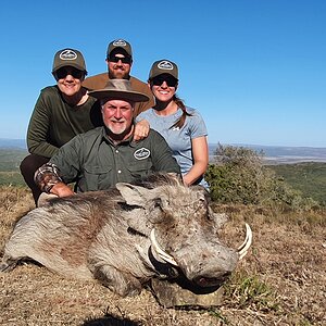 Warthog Hunting South Africa