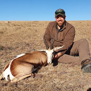 Springbok Hunting South Africa