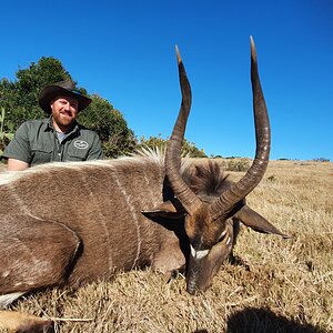 Bushbuck Hunting South Africa