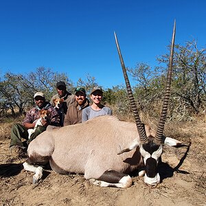 Gemsbok Hunting South Africa