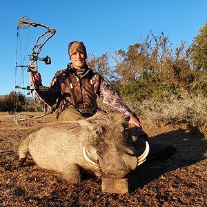 Warthog Hunt South Africa