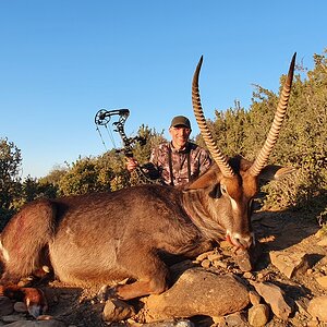 Waterbuck Hunt South Africa