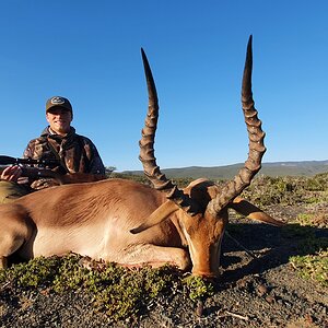 Impala Hunt South Africa