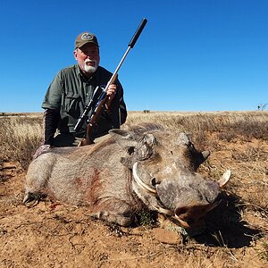 Warthog Hunt South Africa