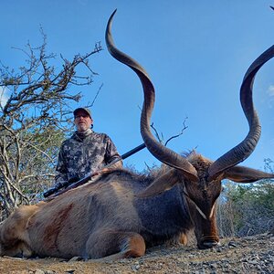 Kudu Hunt South Africa