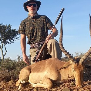 Impala Hunt South Africa