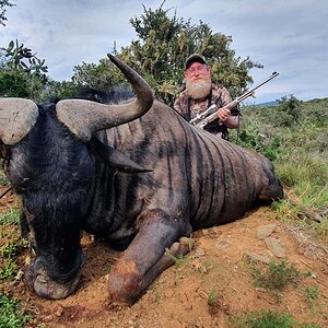 Black Wildebeest Hunt South Africa