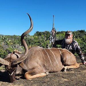 Kudu Hunt South Africa