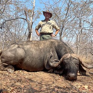 Buffalo Hunt Mozambique