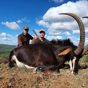 Sable Hunt South Africa