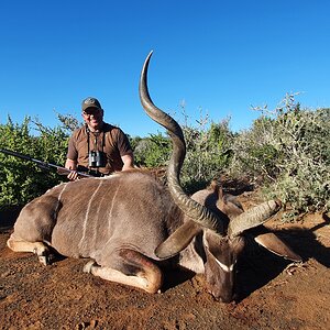 Kudu Hunt South Africa