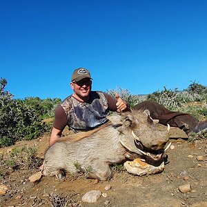 Warthog Hunt South Africa