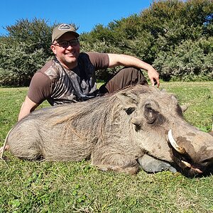 Warthog Hunt South Africa