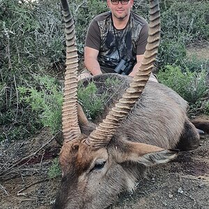 Waterbuck Hunt South Africa