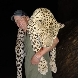 Leopard Hunt Namibia