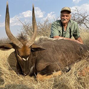 Nyala Hunt Namibia